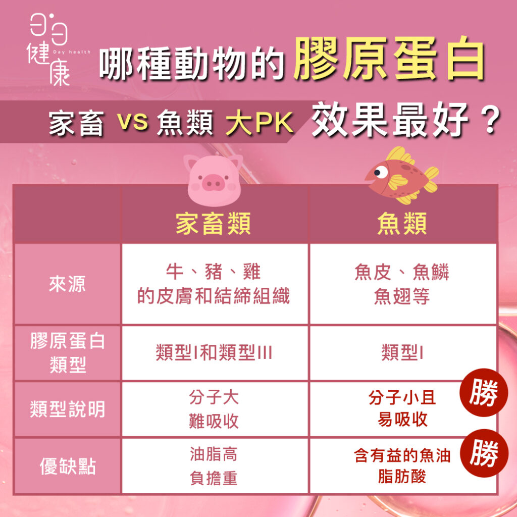 膠原蛋白主要存在於動物組織中的蛋白質，它是構成皮膚、骨骼、肌腱、韌帶和其他結締組織的重要結構成分。因此當我們食用動物性食品也意味著同時攝取了這些動物體內的膠原蛋白。