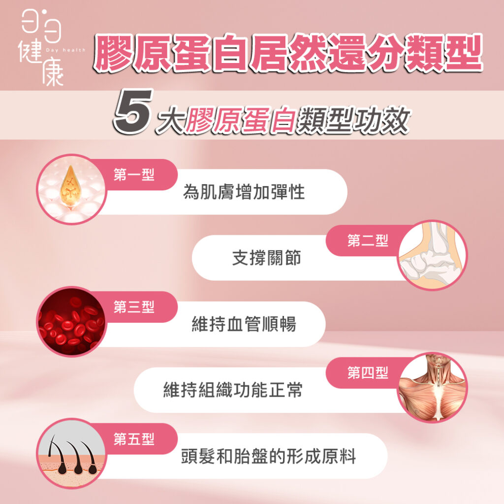 膠原蛋白是一種重要的蛋白質,它是人體組織中最豐富的蛋白質之一。主要存在於皮膚、結締組織、骨骼、肌肉、血管、腱和韌帶等組織中,具有多種重要的功用,包括提供組織結構支持、維護皮膚健康、支持關節健康以及參與骨骼形成。