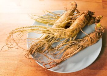 高麗紅蔘五大功效有哪些？禁忌又有哪些呢？中醫師帶你一次搞懂六年根高麗紅蔘！