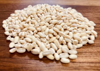 一天該吃多少膳食纖維？掌握每日建議攝取量與高纖飲食關鍵，一次看懂！